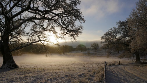 Winter sunrise at Crom Estate